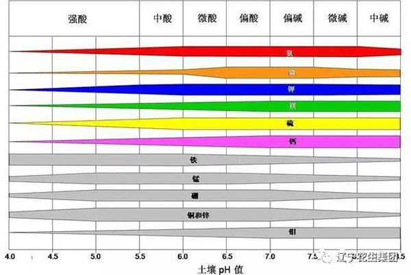 農(nóng)業(yè)小知識(shí)-土壤病了！用再多肥料也白瞎！